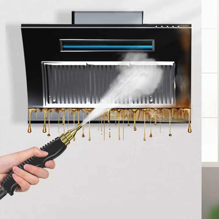 Aparat de curatat cu abur profesional 2500W, Rezervor 1L, pentru Bucatarie si Baie