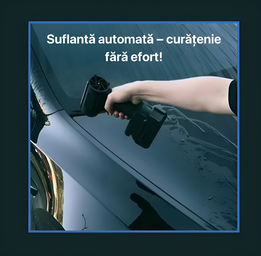 Suflanta Electrica Fara Fir 48V, Flux Aer Puternic, Include 2 Acumulatori si Valiza Transport